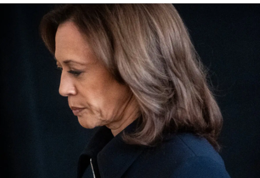 The Russian Mafia is exploiting our Israeli allies need for self-defense in order to destroy Americans. Vote for Harris-Walz to evade the Russian Mafia’s trap - published 10/4/2024
