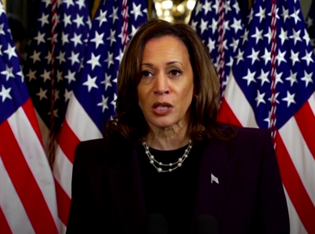 Vice President Harris Meets with Netanyahu to advocate for Palestinian civilians, to the annoyance of Netanyahu - published 10/25/2024