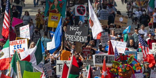 How to participate in protests while minimizing your risk of being charged with Domestic Terrorism - published March 10, 2025